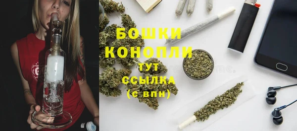 сатива Арсеньев