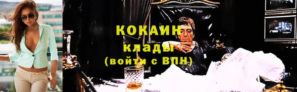 сатива Арсеньев