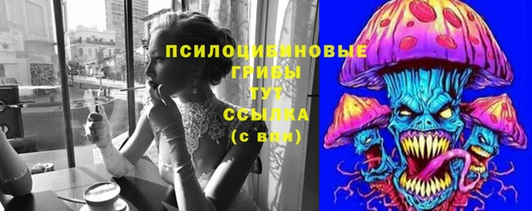 сатива Арсеньев