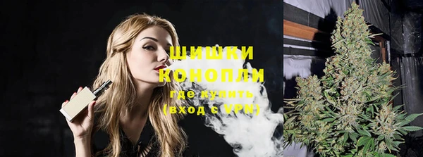 сатива Арсеньев